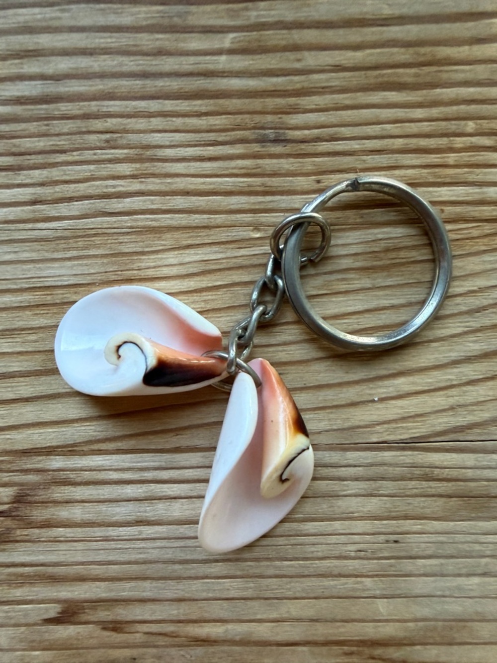 Real conch shell key ring key holder